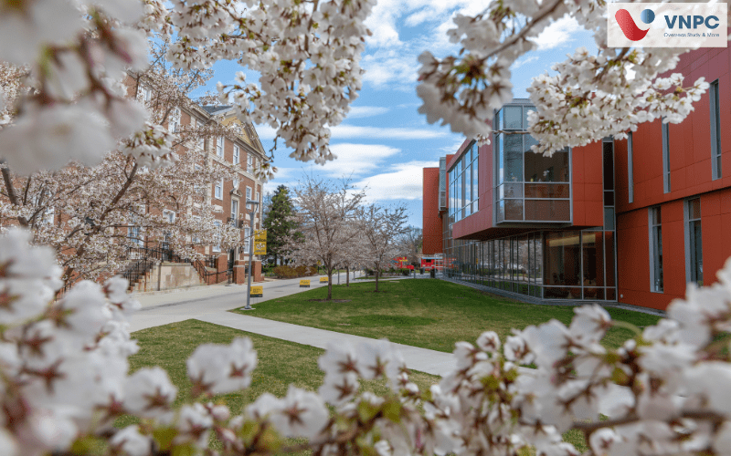 Adelphi University